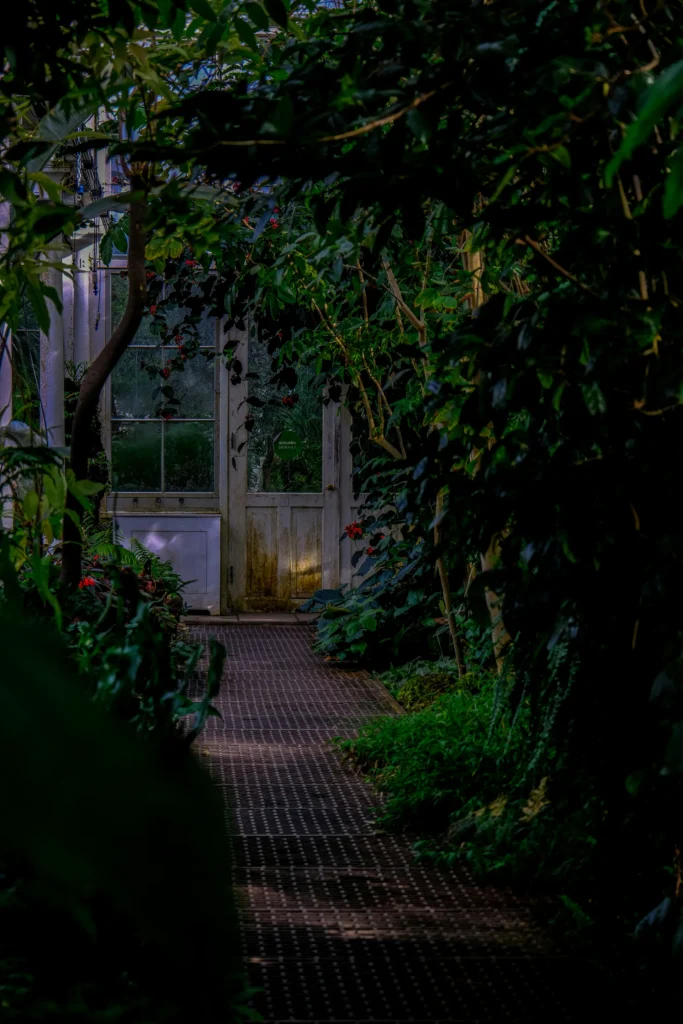 mieszkanie z ogrodem